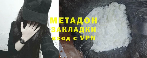 прущие грибы Абаза