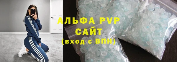 прущие грибы Абаза