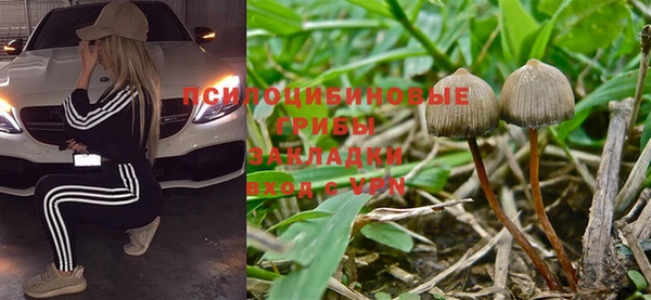 хмурый Медногорск