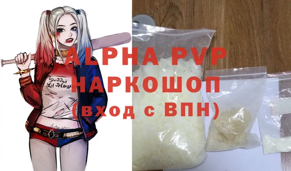 прущие грибы Абаза