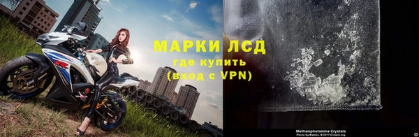 прущие грибы Абаза